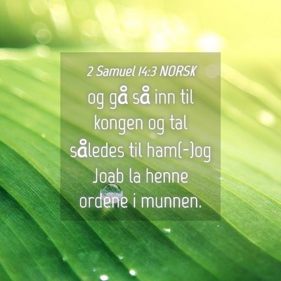 Picture 04 - 2 Samuel 14:3 NORSK - og gå så inn til kongen og tal således til - Bible Verse Picture