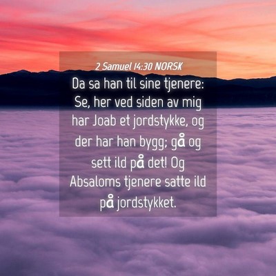 Picture 04 - 2 Samuel 14:30 NORSK - Da sa han til sine tjenere: Se, her ved siden av - Bible Verse Picture