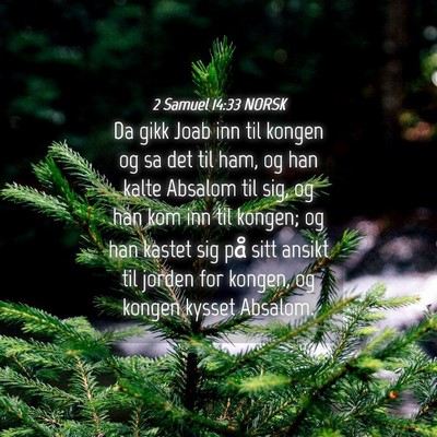 Picture 04 - 2 Samuel 14:33 NORSK - Da gikk Joab inn til kongen og sa det til ham, og - Bible Verse Picture
