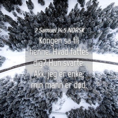 Picture 04 - 2 Samuel 14:5 NORSK - Kongen sa til henne: Hvad fattes dig? Hun svarte: - Bible Verse Picture