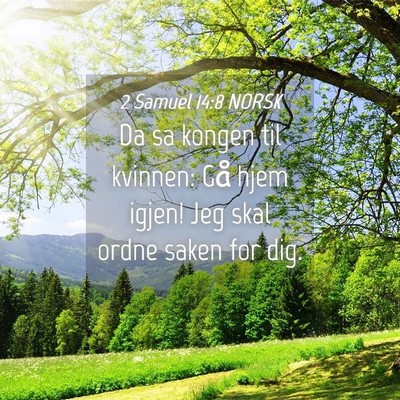 Picture 04 - 2 Samuel 14:8 NORSK - Da sa kongen til kvinnen: Gå hjem igjen! Jeg - Bible Verse Picture