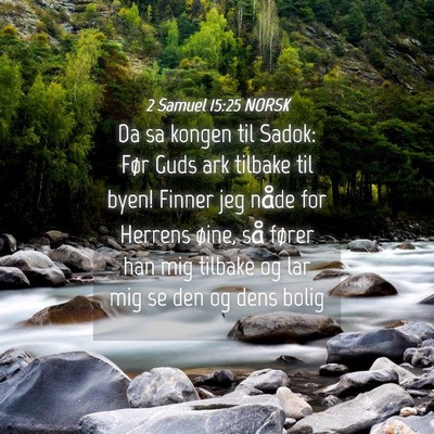 Picture 04 - 2 Samuel 15:25 NORSK - Da sa kongen til Sadok: Før Guds ark tilbake til - Bible Verse Picture
