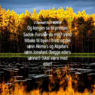 Picture 04 - 2 Samuel 15:27 NORSK - Og kongen sa til presten Sadok: Forstår du mig? - Bible Verse Picture