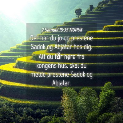 Picture 04 - 2 Samuel 15:35 NORSK - Der har du jo og prestene Sadok og Abjatar hos - Bible Verse Picture