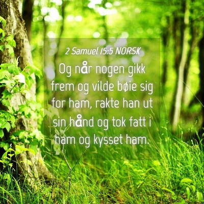 Picture 04 - 2 Samuel 15:5 NORSK - Og når nogen gikk frem og vilde bøie sig for - Bible Verse Picture