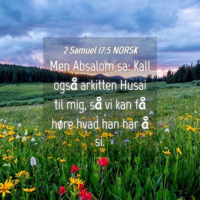 Picture 04 - 2 Samuel 17:5 NORSK - Men Absalom sa: Kall også arkitten Husai til - Bible Verse Picture
