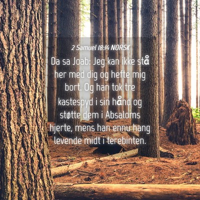 Picture 04 - 2 Samuel 18:14 NORSK - Da sa Joab: Jeg kan ikke stå her med dig og - Bible Verse Picture