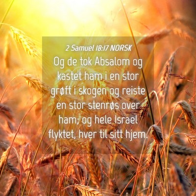 Picture 04 - 2 Samuel 18:17 NORSK - Og de tok Absalom og kastet ham i en stor grøft - Bible Verse Picture