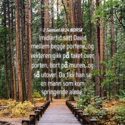 Picture 04 - 2 Samuel 18:24 NORSK - Imidlertid satt David mellem begge portene, og - Bible Verse Picture