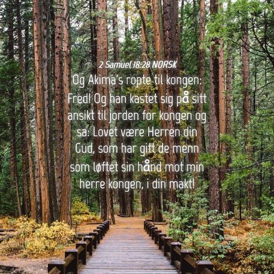Picture 04 - 2 Samuel 18:28 NORSK - Og Akima's ropte til kongen: Fred! Og han kastet - Bible Verse Picture