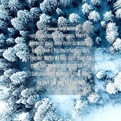 Picture 04 - 2 Samuel 19:19 NORSK - og han sa til kongen: Herre, tilregn mig ikke min - Bible Verse Picture