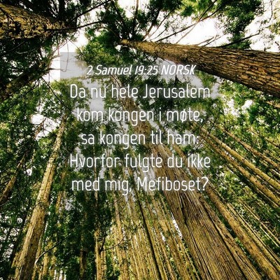 Picture 04 - 2 Samuel 19:25 NORSK - Da nu hele Jerusalem kom kongen i møte, sa - Bible Verse Picture