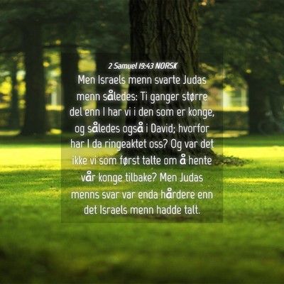 Picture 04 - 2 Samuel 19:43 NORSK - Men Israels menn svarte Judas menn således: Ti - Bible Verse Picture