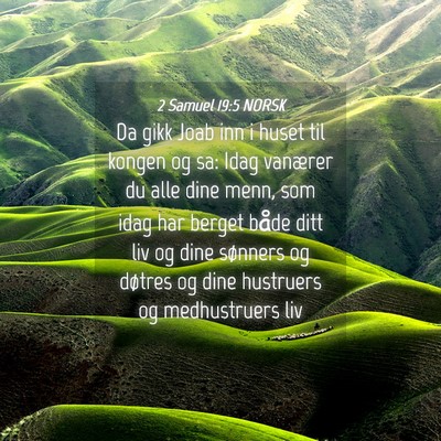 Picture 04 - 2 Samuel 19:5 NORSK - Da gikk Joab inn i huset til kongen og sa: Idag - Bible Verse Picture