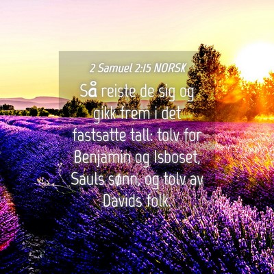 Picture 04 - 2 Samuel 2:15 NORSK - Så reiste de sig og gikk frem i det fastsatte - Bible Verse Picture