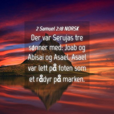 Picture 04 - 2 Samuel 2:18 NORSK - Der var Serujas tre sønner med: Joab og Abisai - Bible Verse Picture