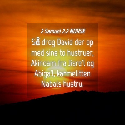 Picture 04 - 2 Samuel 2:2 NORSK - Så drog David der op med sine to hustruer, - Bible Verse Picture
