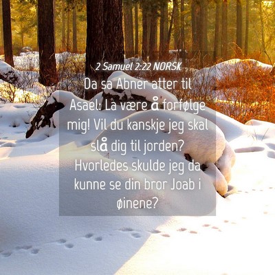 Picture 04 - 2 Samuel 2:22 NORSK - Da sa Abner atter til Asael: La være å - Bible Verse Picture