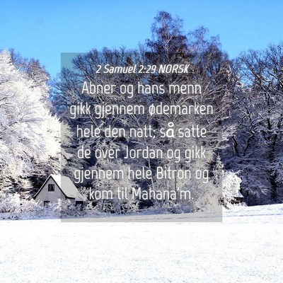 Picture 04 - 2 Samuel 2:29 NORSK - Abner og hans menn gikk gjennem ødemarken hele - Bible Verse Picture