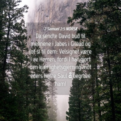 Picture 04 - 2 Samuel 2:5 NORSK - Da sendte David bud til mennene i Jabes i Gilead - Bible Verse Picture