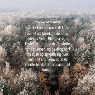 Picture 04 - 2 Samuel 20:22 NORSK - Så gikk kvinnen med sitt kloke råd til alt - Bible Verse Picture