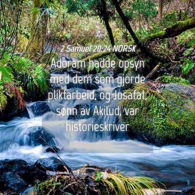 Picture 04 - 2 Samuel 20:24 NORSK - Adoram hadde opsyn med dem som gjorde - Bible Verse Picture