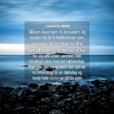 Picture 04 - 2 Samuel 20:3 NORSK - Så kom David hjem til Jerusalem. Og kongen tok - Bible Verse Picture