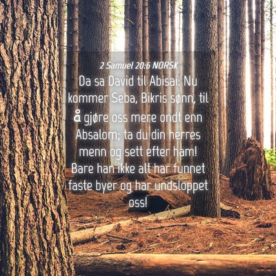 Picture 04 - 2 Samuel 20:6 NORSK - Da sa David til Abisai: Nu kommer Seba, Bikris - Bible Verse Picture