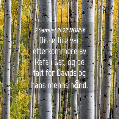 Picture 04 - 2 Samuel 21:22 NORSK - Disse fire var efterkommere av Rafa i Gat, og de - Bible Verse Picture