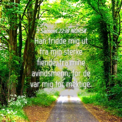 Picture 04 - 2 Samuel 22:18 NORSK - Han fridde mig ut fra min sterke fiende, fra mine - Bible Verse Picture