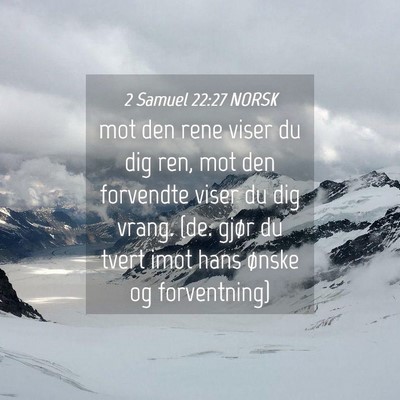 Picture 04 - 2 Samuel 22:27 NORSK - mot den rene viser du dig ren, mot den forvendte - Bible Verse Picture