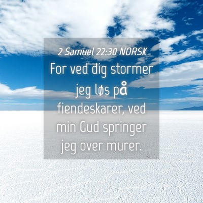 Picture 04 - 2 Samuel 22:30 NORSK - For ved dig stormer jeg løs på fiendeskarer, - Bible Verse Picture