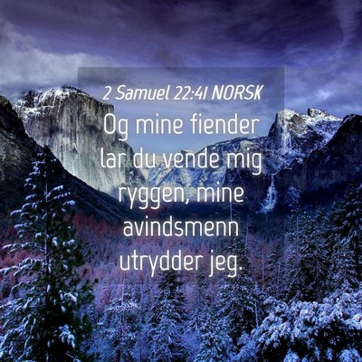 Picture 04 - 2 Samuel 22:41 NORSK - Og mine fiender lar du vende mig ryggen, mine - Bible Verse Picture