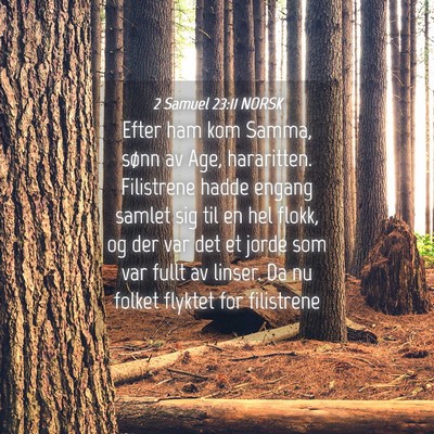 Picture 04 - 2 Samuel 23:11 NORSK - Efter ham kom Samma, sønn av Age, hararitten. - Bible Verse Picture