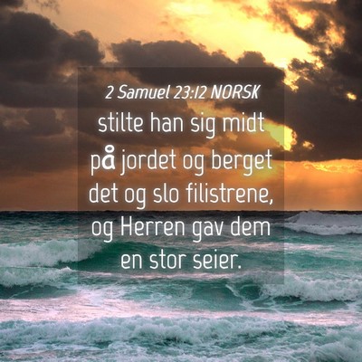 Picture 04 - 2 Samuel 23:12 NORSK - stilte han sig midt på jordet og berget det og - Bible Verse Picture
