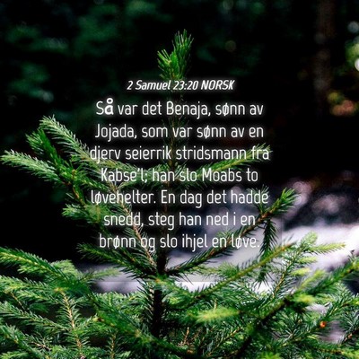 Picture 04 - 2 Samuel 23:20 NORSK - Så var det Benaja, sønn av Jojada, som var - Bible Verse Picture