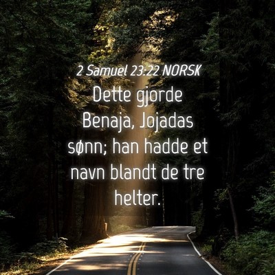 Picture 04 - 2 Samuel 23:22 NORSK - Dette gjorde Benaja, Jojadas sønn; han hadde et - Bible Verse Picture