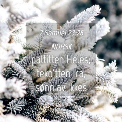 Picture 04 - 2 Samuel 23:26 NORSK - paltitten Heles; teko'tten Ira, sønn av - Bible Verse Picture