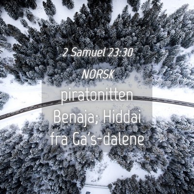 Picture 04 - 2 Samuel 23:30 NORSK - piratonitten Benaja; Hiddai fra - Bible Verse Picture