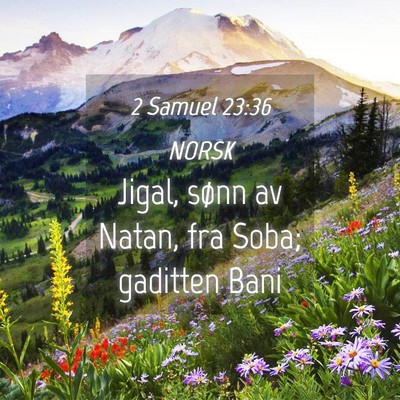 Picture 04 - 2 Samuel 23:36 NORSK - Jigal, sønn av Natan, fra Soba; gaditten - Bible Verse Picture