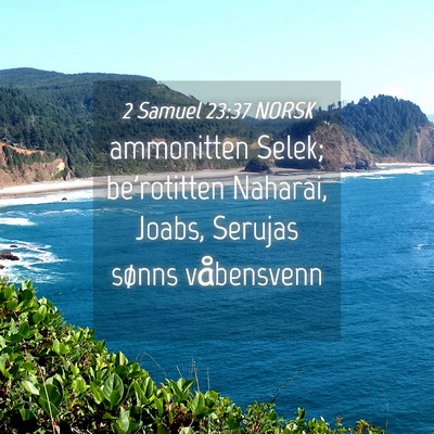 Picture 04 - 2 Samuel 23:37 NORSK - ammonitten Selek; be'rotitten Naharai, Joabs, - Bible Verse Picture
