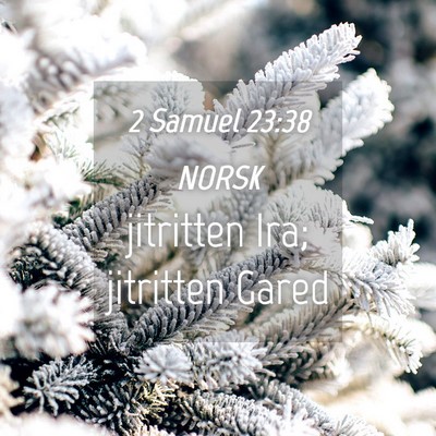 Picture 04 - 2 Samuel 23:38 NORSK - jitritten Ira; jitritten - Bible Verse Picture