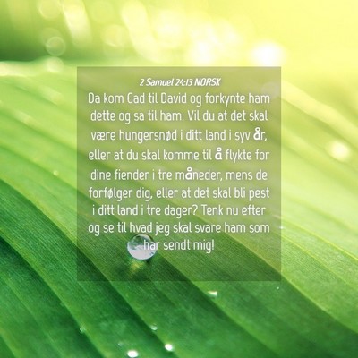 Picture 04 - 2 Samuel 24:13 NORSK - Da kom Gad til David og forkynte ham dette og sa - Bible Verse Picture