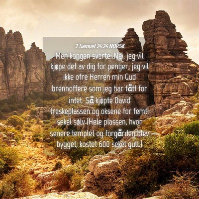 Picture 04 - 2 Samuel 24:24 NORSK - Men kongen svarte: Nei, jeg vil kjøpe det av dig - Bible Verse Picture