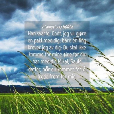 Picture 04 - 2 Samuel 3:13 NORSK - Han svarte: Godt, jeg vil gjøre en pakt med dig; - Bible Verse Picture