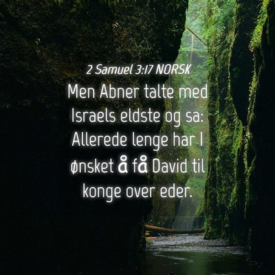 Picture 04 - 2 Samuel 3:17 NORSK - Men Abner talte med Israels eldste og sa: - Bible Verse Picture