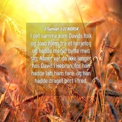 Picture 04 - 2 Samuel 3:22 NORSK - I det samme kom Davids folk og Joab hjem fra et - Bible Verse Picture