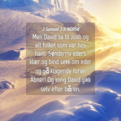 Picture 04 - 2 Samuel 3:31 NORSK - Men David sa til Joab og alt folket som var hos - Bible Verse Picture