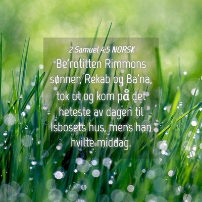 Picture 04 - 2 Samuel 4:5 NORSK - Be'rotitten Rimmons sønner, Rekab og Ba'na, tok - Bible Verse Picture
