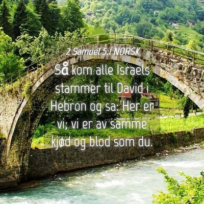 Picture 04 - 2 Samuel 5:1 NORSK - Så kom alle Israels stammer til David i Hebron - Bible Verse Picture